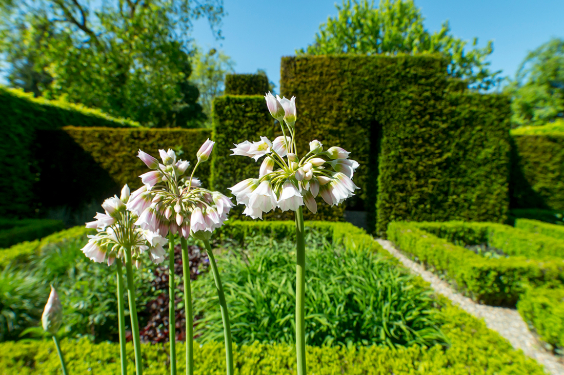 Season Sessions - Kasteel Wijlre