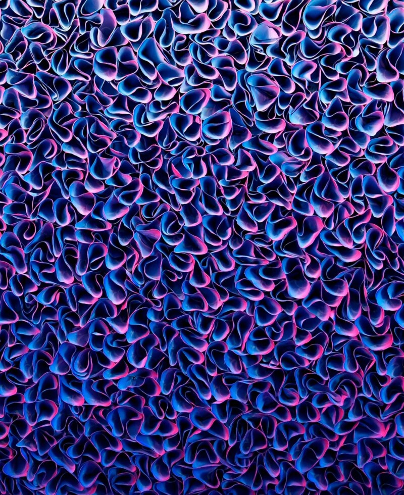 Zhuang Hong Yi Courtesy of SmithDavidson Gallery presenteert i.s.m. Wolterinck 