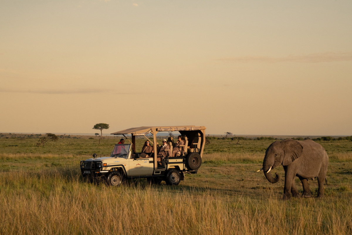 Game Drive