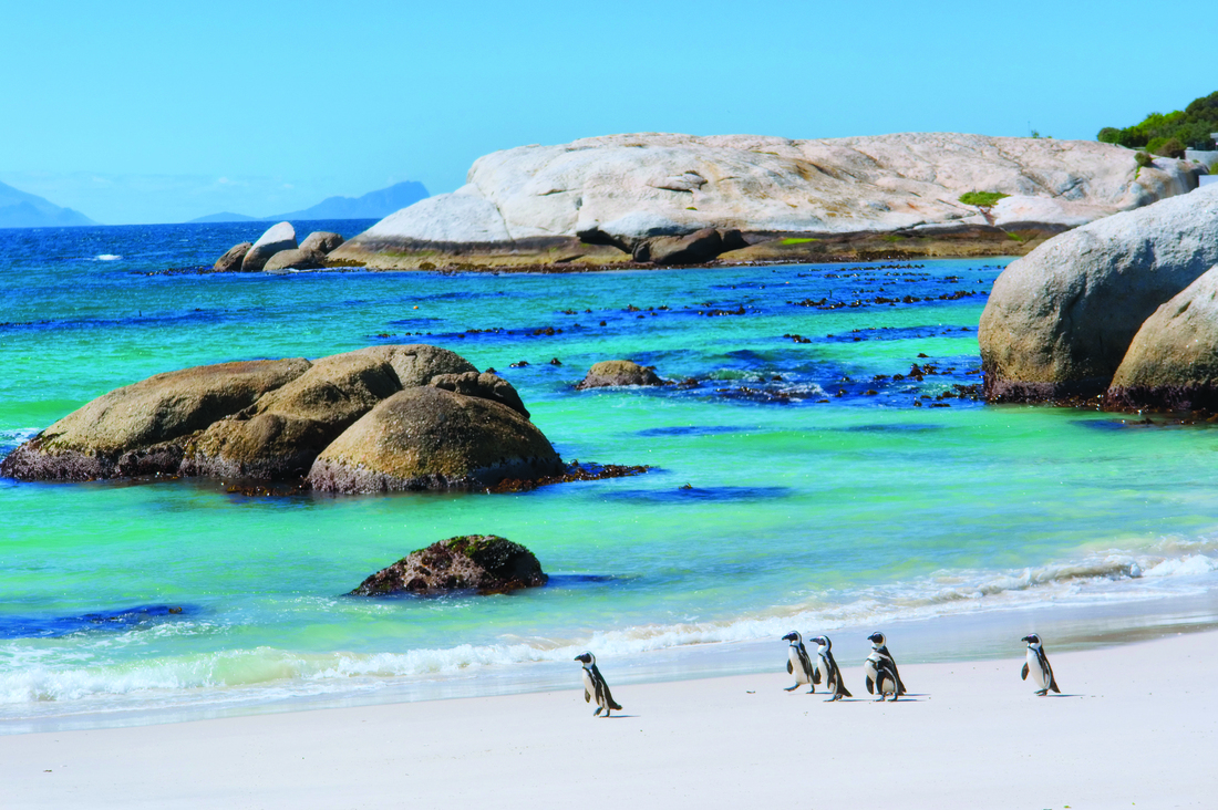 Zuid-Afrika - 333travel 