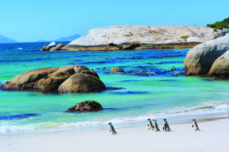 Zuid-Afrika - 333travel 