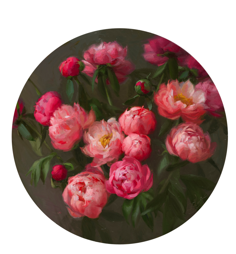 Chinese Pioenroos 65 cm, olie op masonite