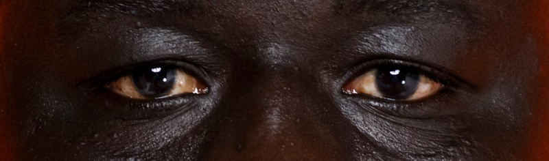 Document Nederland © Tina Farifteh