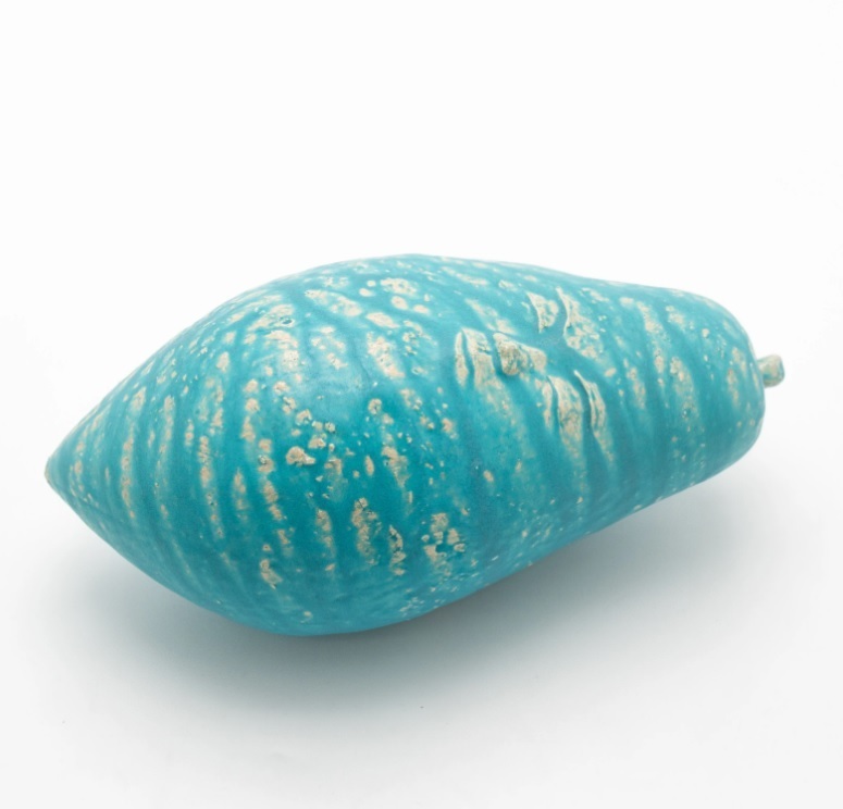 Sleeping Papaya, Pei-Hsuan Wang, 2023 | bruikleen van de kunstenaar